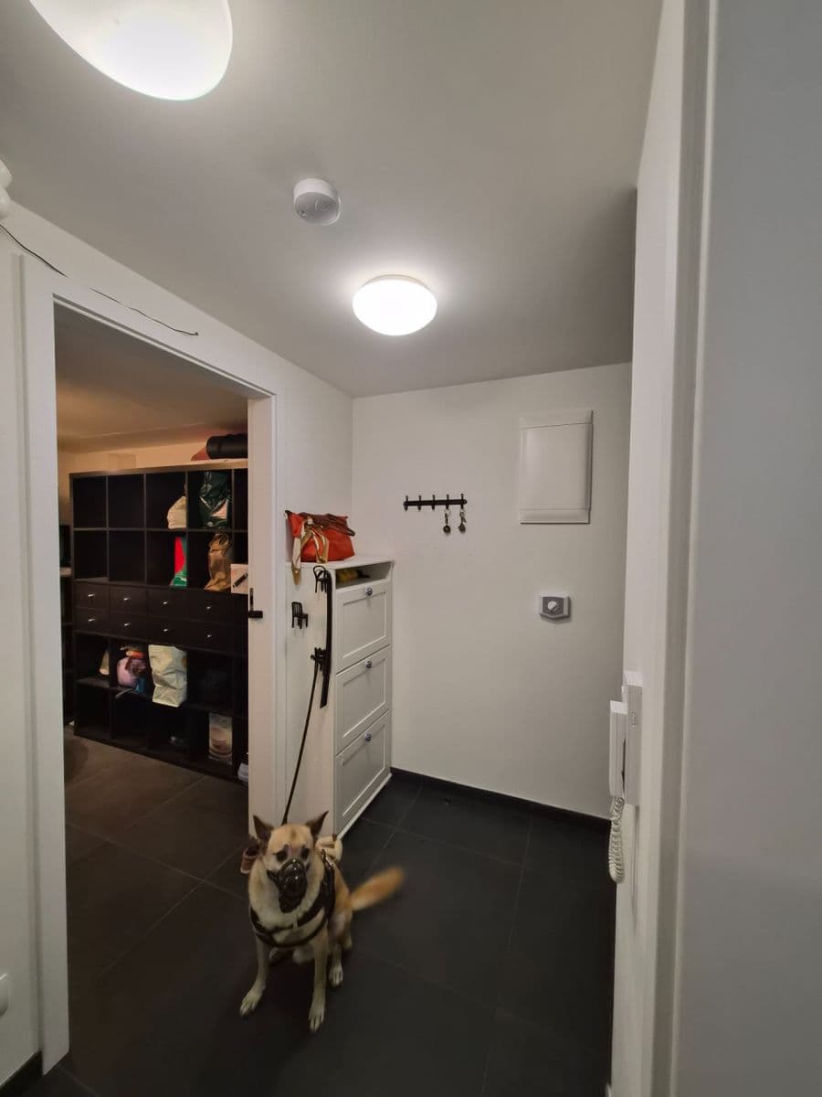Prenájom bytu 2-izbový 50 m², Holečkova, Praha, Praha Prenájom bytu 2-izbový 50 m², Holečkova, Praha, Praha