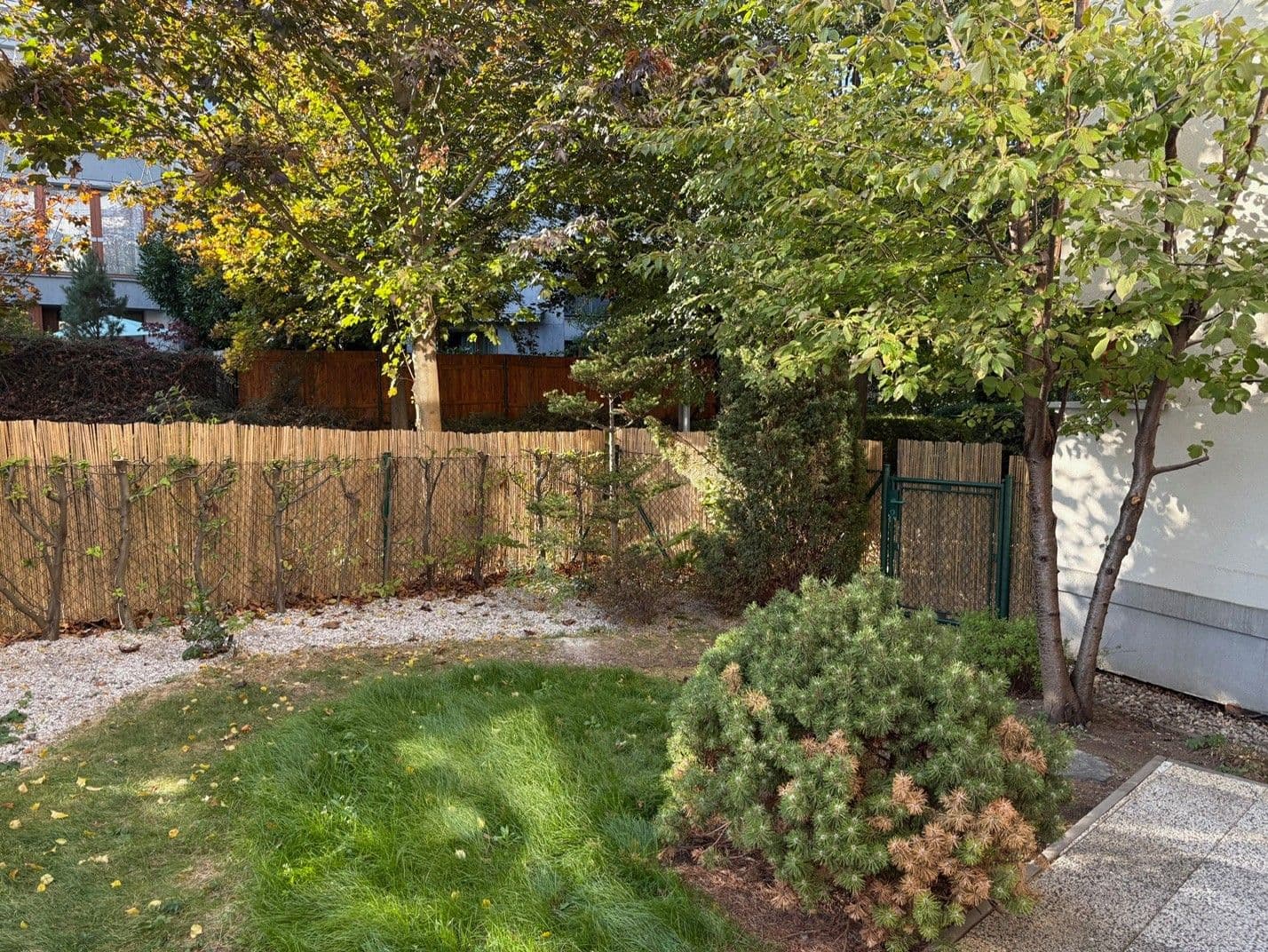 Prenájom bytu 2-izbový 55 m², Štorkánova, Praha, Praha Prenájom bytu 2-izbový 55 m², Štorkánova, Praha, Praha