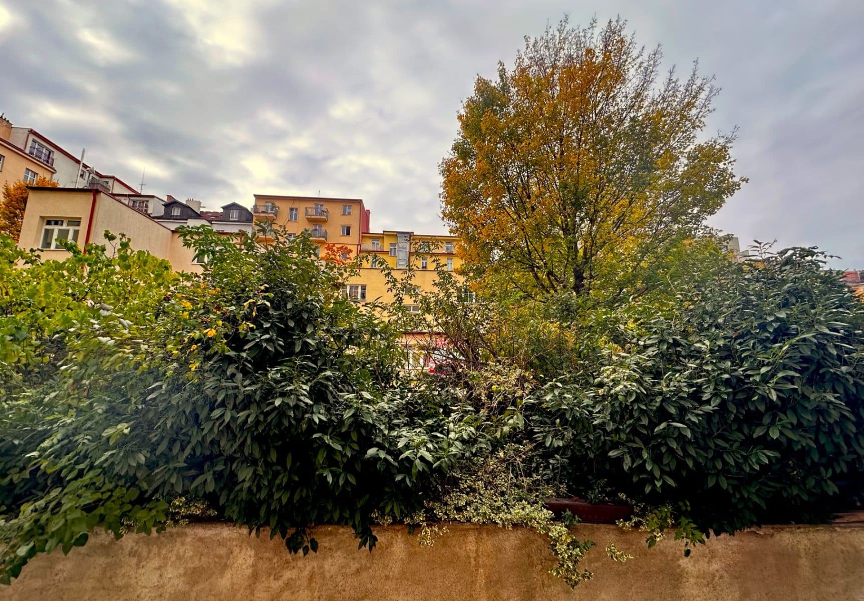 Prenájom bytu 2-izbový 48 m², Jičínská, Praha, Praha Prenájom bytu 2-izbový 48 m², Jičínská, Praha, Praha
