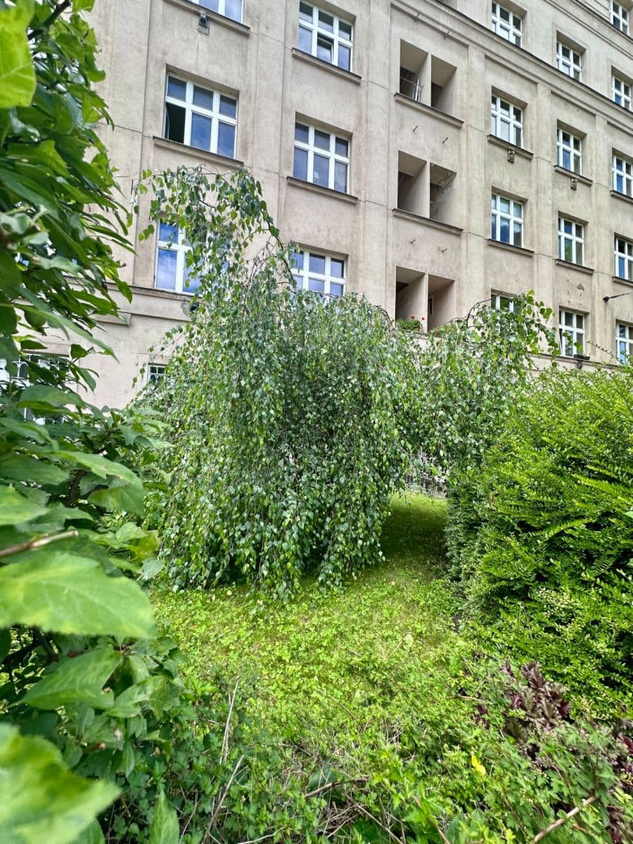 Prenájom bytu 2-izbový 48 m², Jičínská, Praha, Praha Prenájom bytu 2-izbový 48 m², Jičínská, Praha, Praha