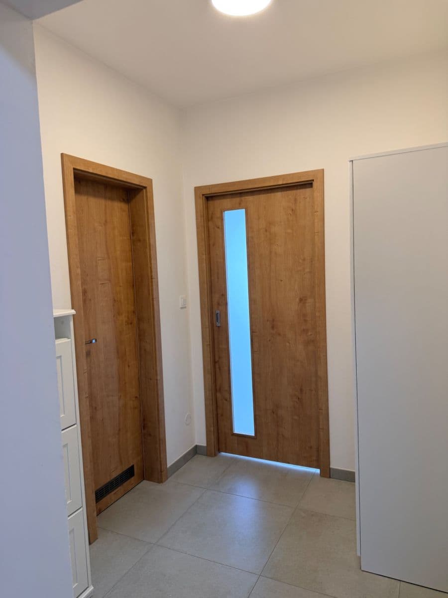 Prenájom bytu 1-izbový 30 m², Břetislavova, Brno, Jihomoravský kraj Prenájom bytu 1-izbový 30 m², Břetislavova, Brno, Jihomoravský kraj