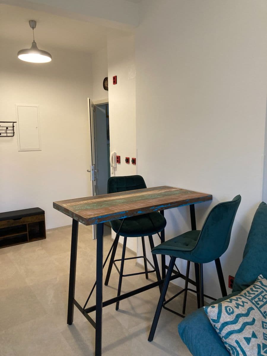 Prenájom bytu 1-izbový 31 m², V Břízkách, Praha, Praha Prenájom bytu 1-izbový 31 m², V Břízkách, Praha, Praha