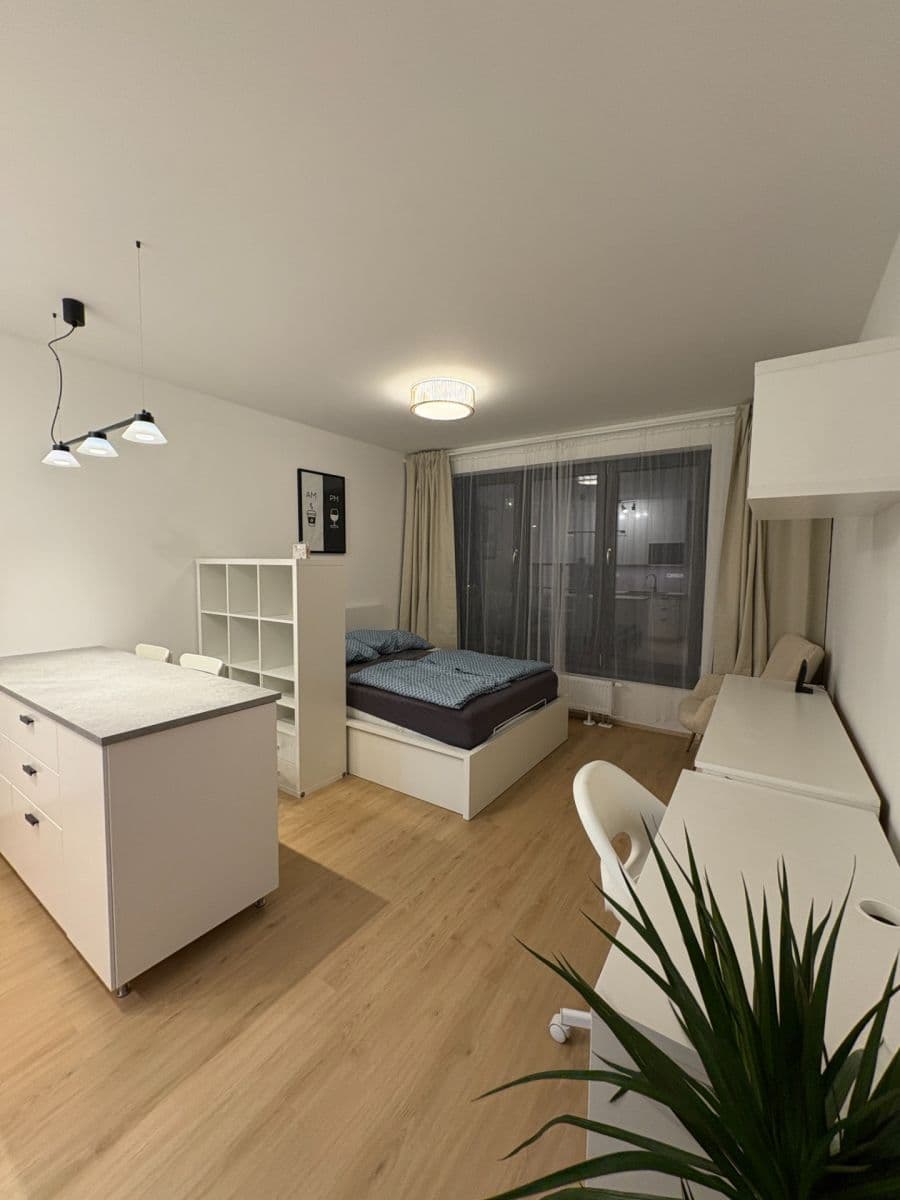 Prenájom bytu 1-izbový 31 m², Železná, Plzeň, Plzeňský kraj Prenájom bytu 1-izbový 31 m², Železná, Plzeň, Plzeňský kraj