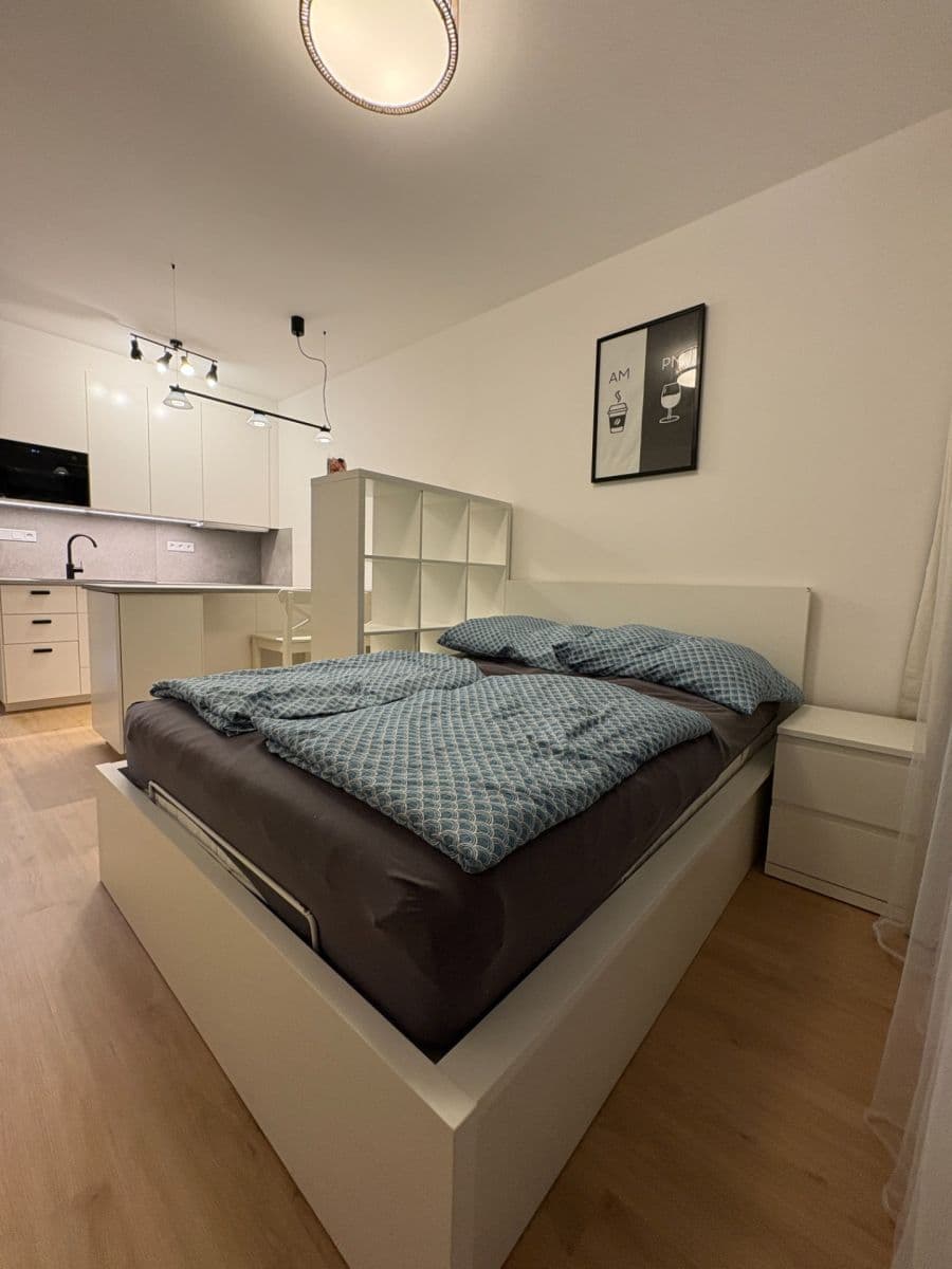 Prenájom bytu 1-izbový 31 m², Železná, Plzeň, Plzeňský kraj Prenájom bytu 1-izbový 31 m², Železná, Plzeň, Plzeňský kraj
