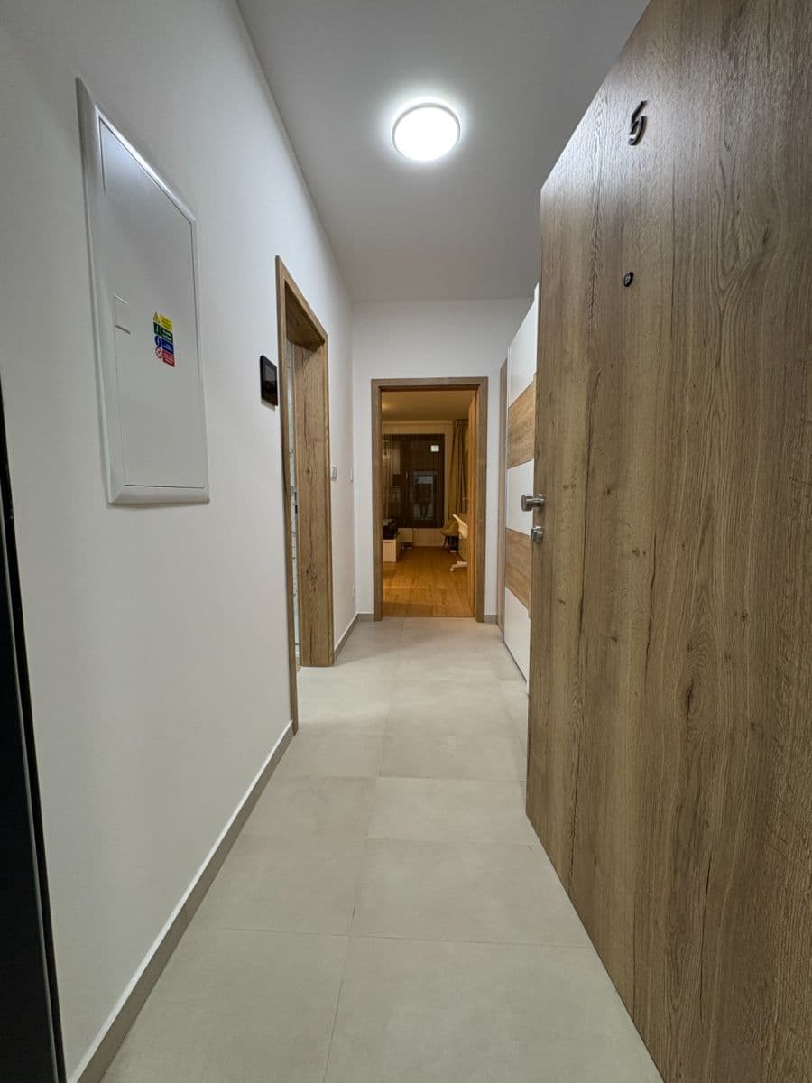 Prenájom bytu 1-izbový 31 m², Železná, Plzeň, Plzeňský kraj Prenájom bytu 1-izbový 31 m², Železná, Plzeň, Plzeňský kraj
