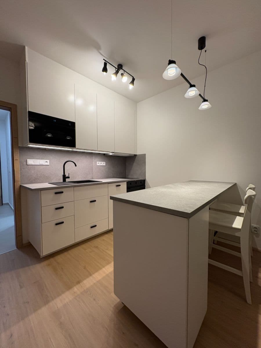 Prenájom bytu 1-izbový 31 m², Železná, Plzeň, Plzeňský kraj Prenájom bytu 1-izbový 31 m², Železná, Plzeň, Plzeňský kraj