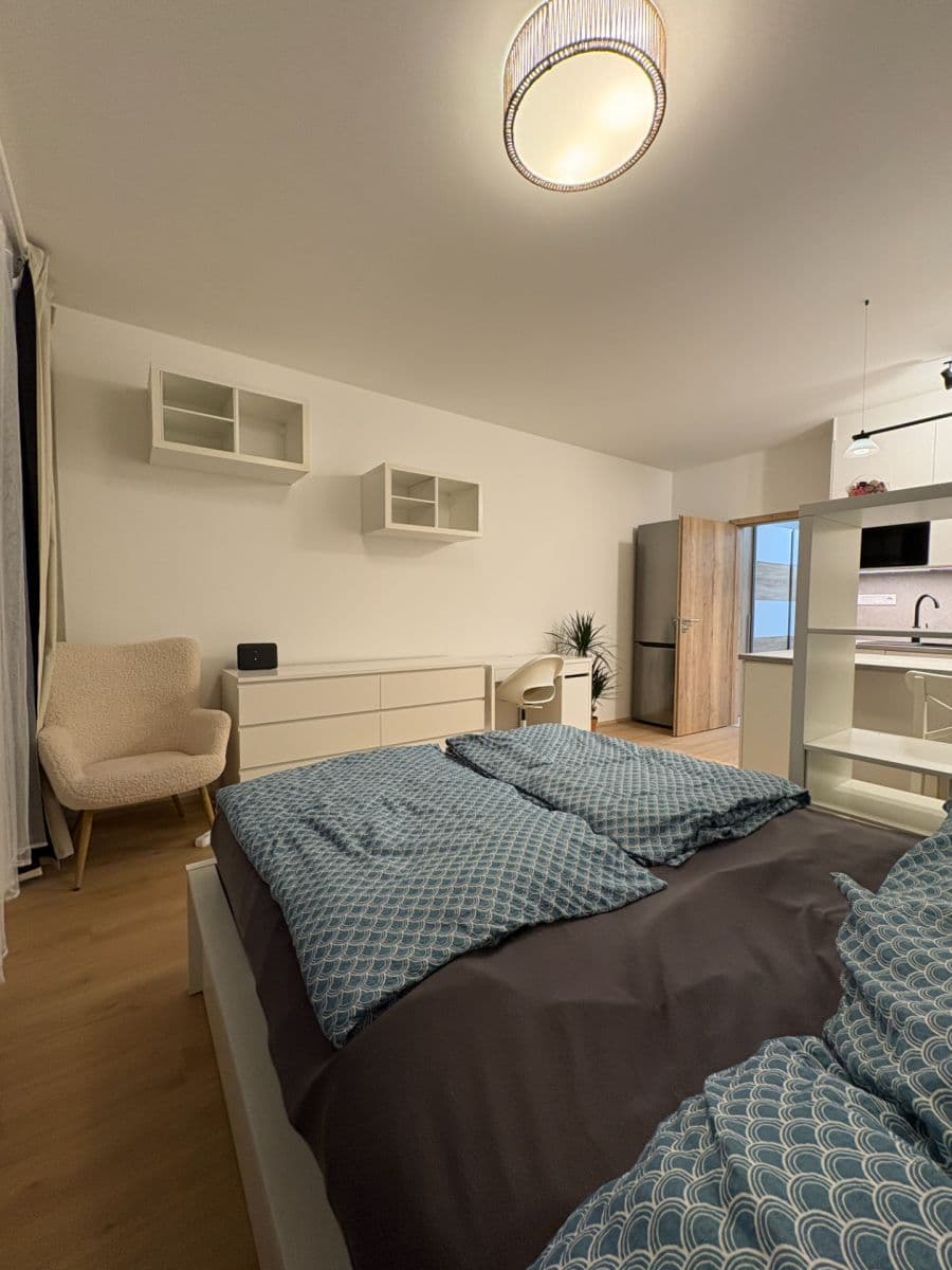 Prenájom bytu 1-izbový 31 m², Železná, Plzeň, Plzeňský kraj Prenájom bytu 1-izbový 31 m², Železná, Plzeň, Plzeňský kraj