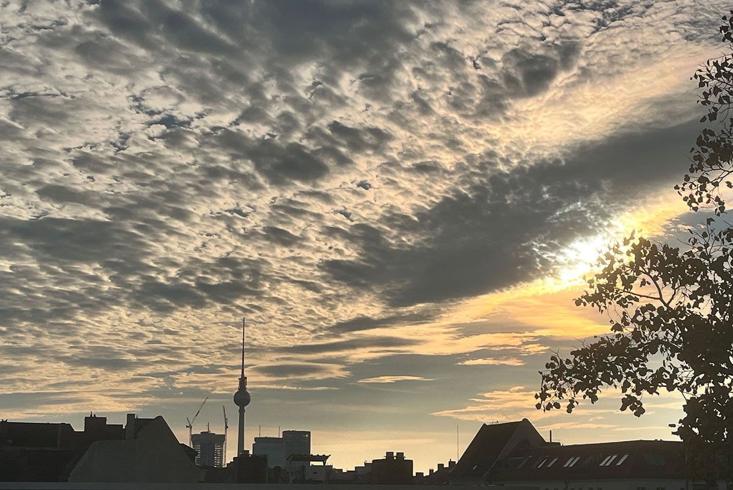 Predaj bytu 3-izbový 75 m², John-Schehr-Straße 39, Berlin, Berlín Predaj bytu 3-izbový 75 m², John-Schehr-Straße 39, Berlin, Berlín
