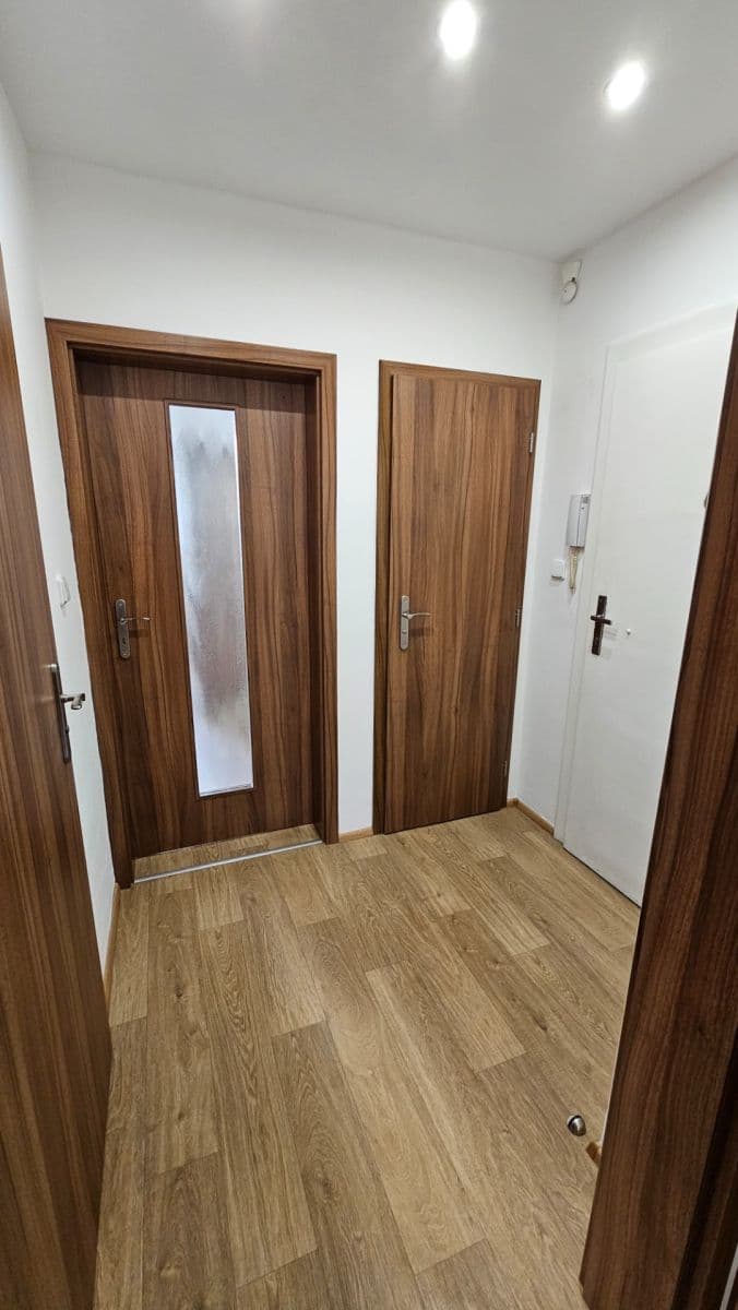 Prenájom bytu 2-izbový 40 m², Spáčilova, Brno, Jihomoravský kraj Prenájom bytu 2-izbový 40 m², Spáčilova, Brno, Jihomoravský kraj