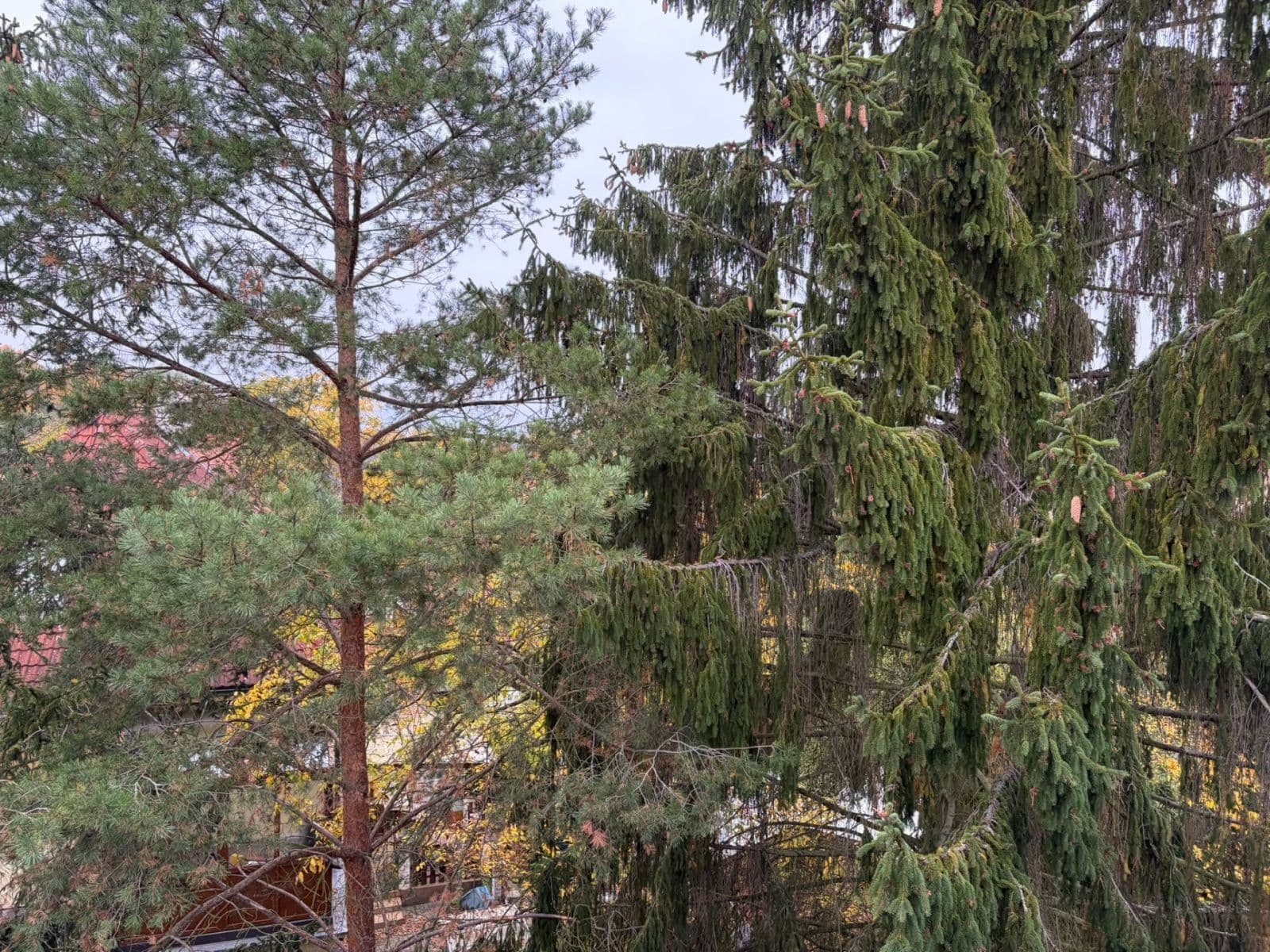 Prenájom bytu 1-izbový 39 m², Klánova, Praha, Praha Prenájom bytu 1-izbový 39 m², Klánova, Praha, Praha