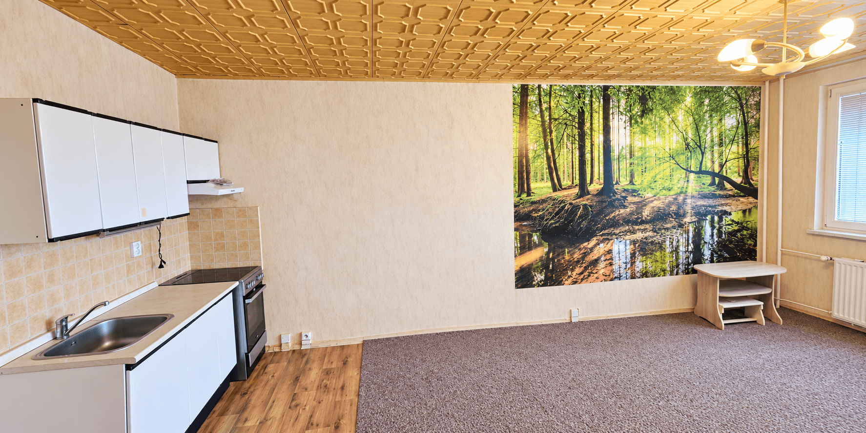 Predaj bytu 1-izbový 34 m², F. S. Tůmy, Orlová, Moravskoslezský kraj Predaj bytu 1-izbový 34 m², F. S. Tůmy, Orlová, Moravskoslezský kraj