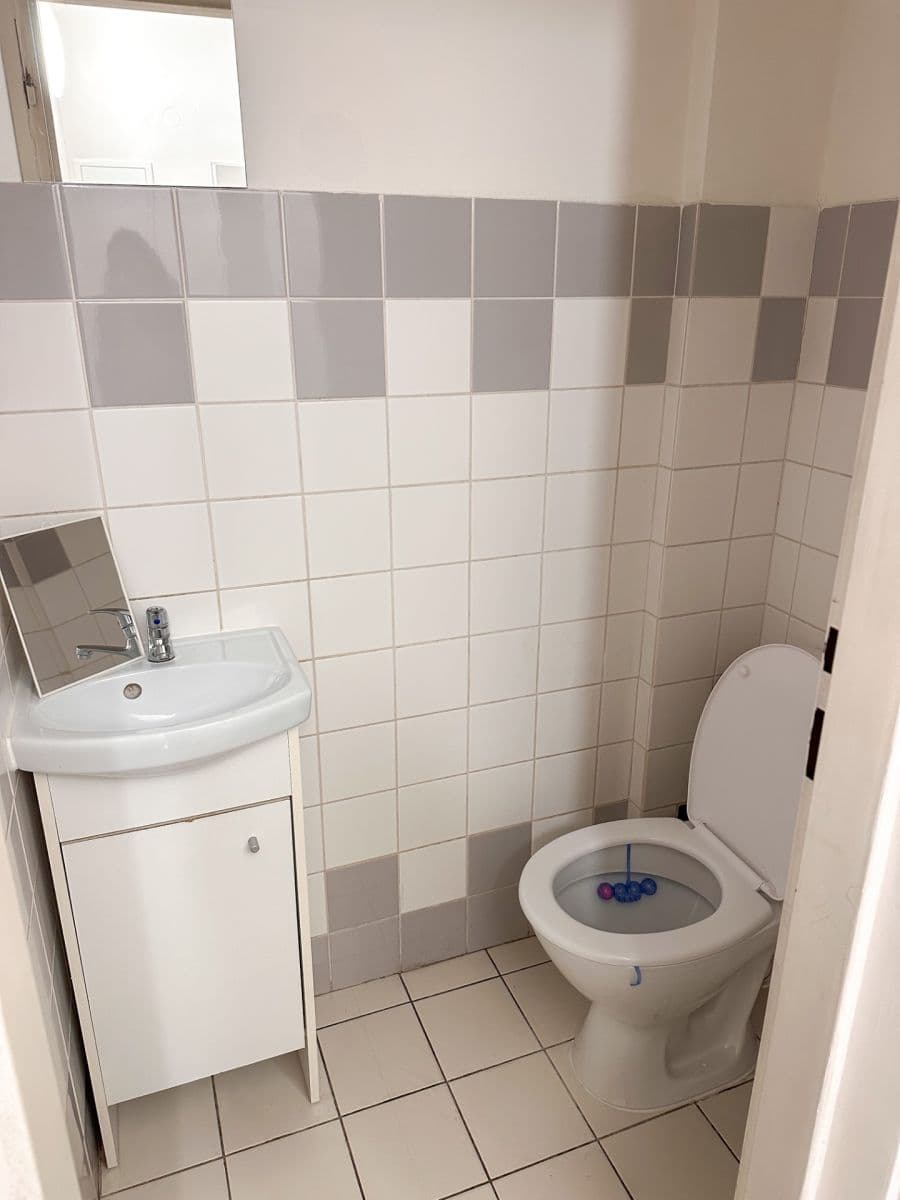 Prenájom bytu 3-izbový 83 m², Máchova, Praha, Praha Prenájom bytu 3-izbový 83 m², Máchova, Praha, Praha