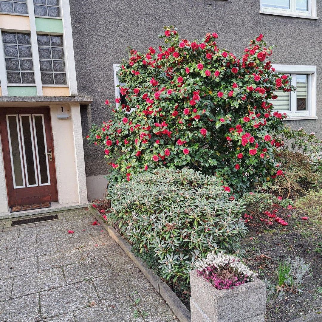 Prenájom bytu 3-izbový 53 m², Bottrop, Severné Porýnie - Westfálsko Prenájom bytu 3-izbový 53 m², Bottrop, Severné Porýnie - Westfálsko