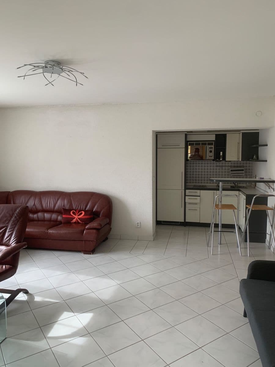 Predaj domu 600 m², pozemok 1.800 m², Borač, Jihomoravský kraj Predaj domu 600 m², pozemok 1.800 m², Borač, Jihomoravský kraj