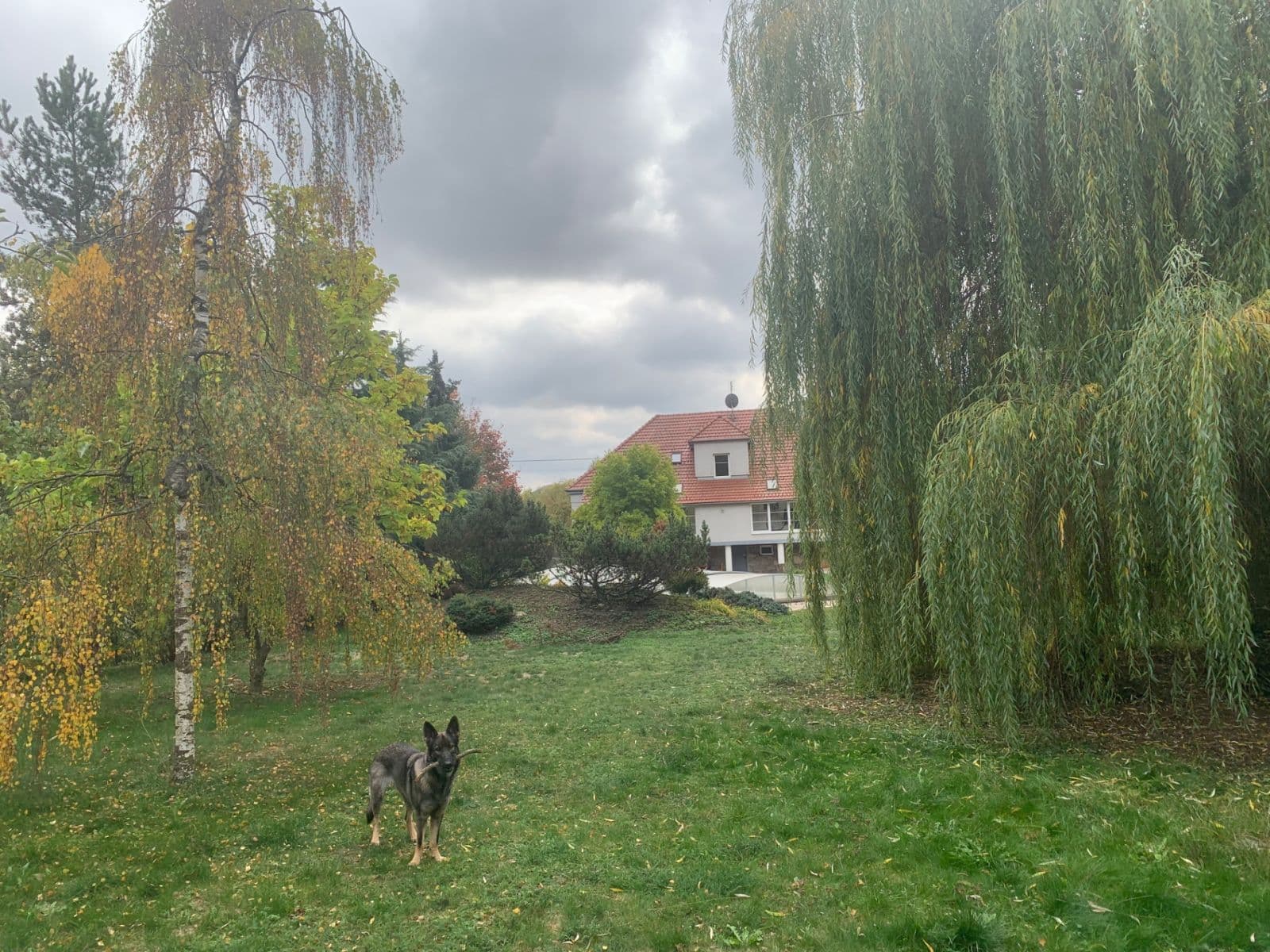 Predaj domu 600 m², pozemok 1.800 m², Borač, Jihomoravský kraj Predaj domu 600 m², pozemok 1.800 m², Borač, Jihomoravský kraj
