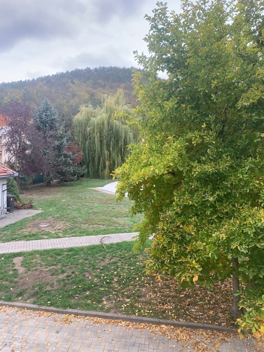 Predaj domu 600 m², pozemok 1.800 m², Borač, Jihomoravský kraj Predaj domu 600 m², pozemok 1.800 m², Borač, Jihomoravský kraj