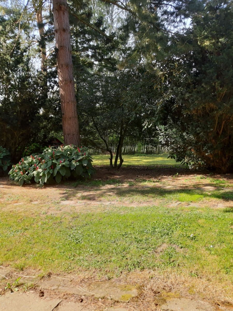Predaj rekreačného objektu 350 m², pozemok 2.497 m², Úštěk, Ústecký kraj Predaj rekreačného objektu 350 m², pozemok 2.497 m², Úštěk, Ústecký kraj