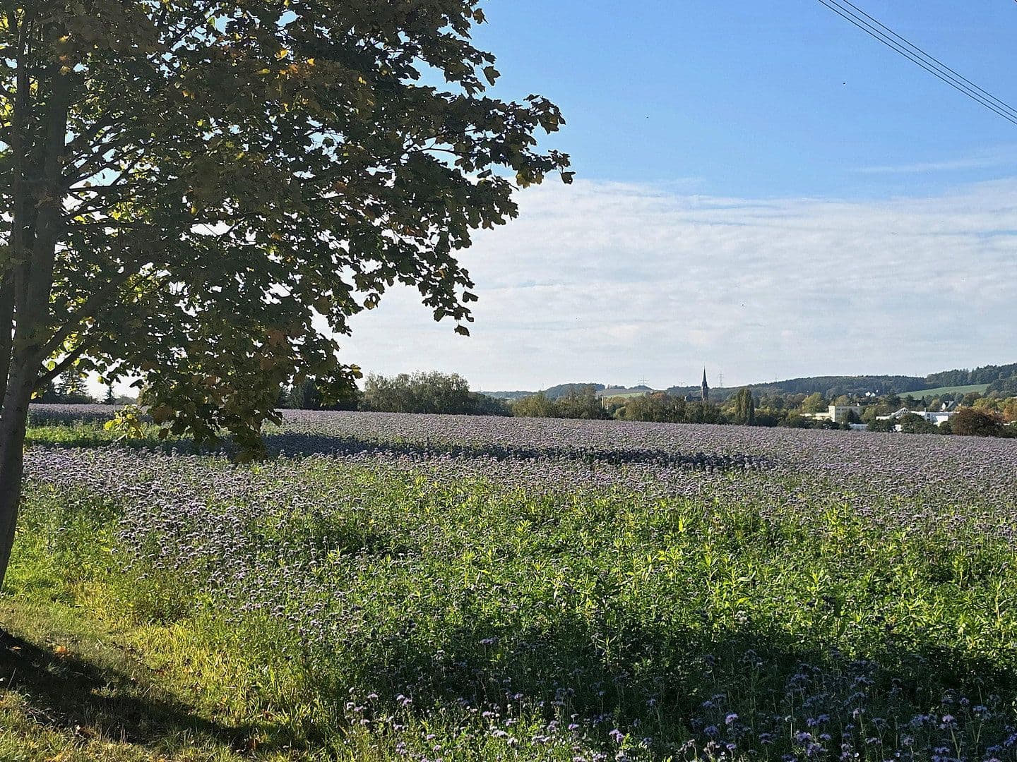 Prenájom bytu 3-izbový 60 m², Landgraben 8g, Hohenstein-Ernstthal, Sasko Prenájom bytu 3-izbový 60 m², Landgraben 8g, Hohenstein-Ernstthal, Sasko