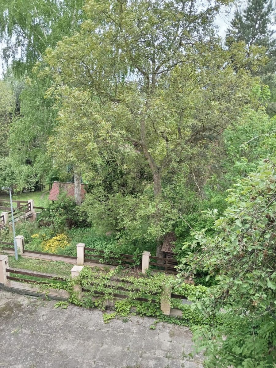 Prenájom bytu 3-izbový 78 m², Pražská, Liběchov, Středočeský kraj Prenájom bytu 3-izbový 78 m², Pražská, Liběchov, Středočeský kraj