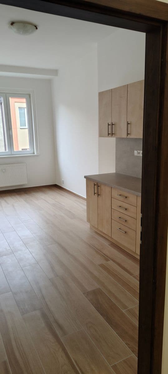 Prenájom bytu 1-izbový 49 m², Poupětova, Praha, Praha Prenájom bytu 1-izbový 49 m², Poupětova, Praha, Praha