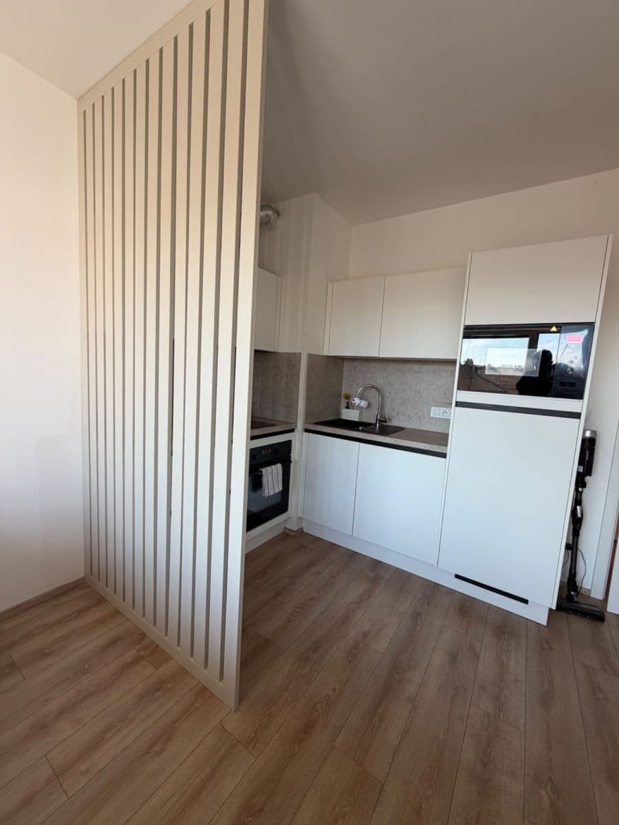 Prenájom bytu 1-izbový 31 m², Spolková, Brno, Jihomoravský kraj Prenájom bytu 1-izbový 31 m², Spolková, Brno, Jihomoravský kraj
