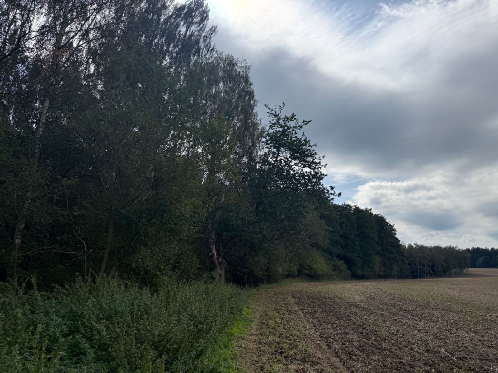 Predaj pozemku 9.770 m², Lipová, Karlovarský kraj Predaj pozemku 9.770 m², Lipová, Karlovarský kraj