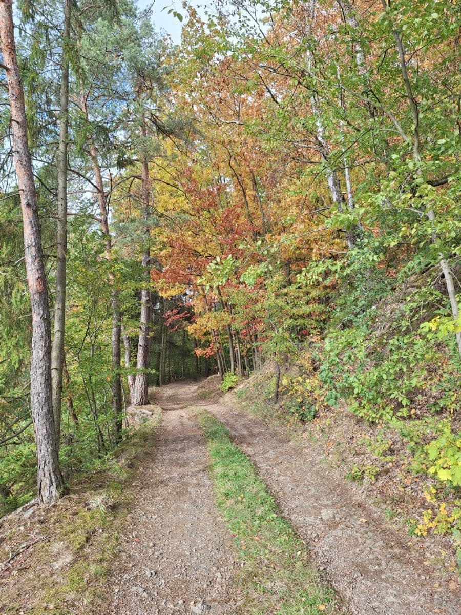 Predaj rekreačného objektu 100 m², pozemok 746 m², V Brdcích, Zbiroh, Plzeňský kraj Predaj rekreačného objektu 100 m², pozemok 746 m², V Brdcích, Zbiroh, Plzeňský kraj