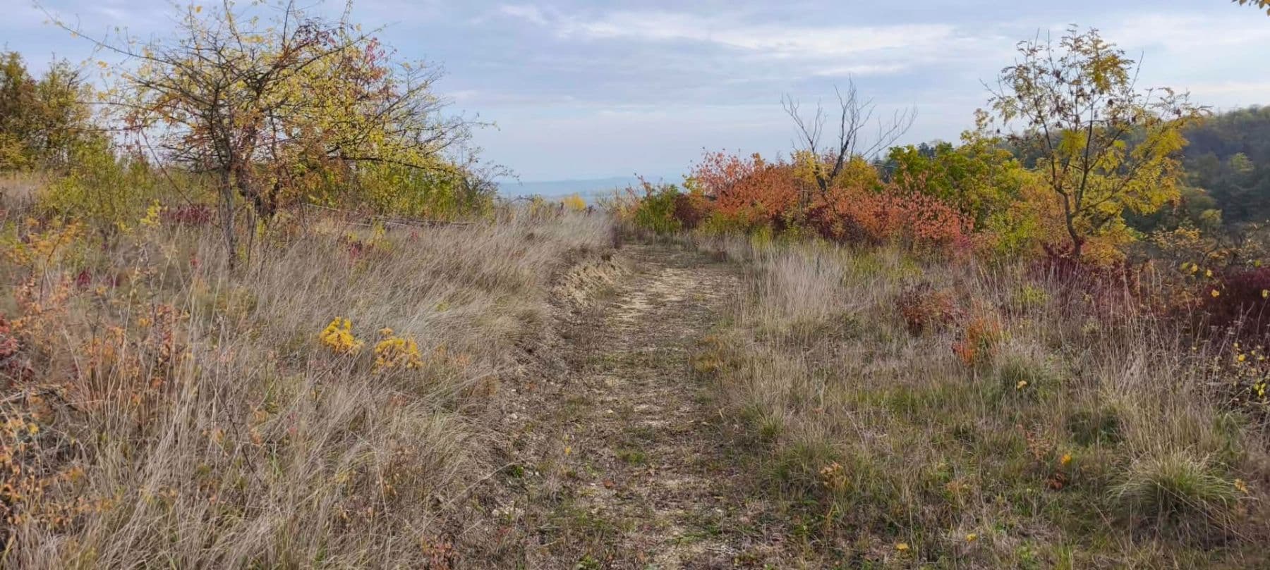 Predaj pozemku 5.326 m², Libochovice, Ústecký kraj Predaj pozemku 5.326 m², Libochovice, Ústecký kraj