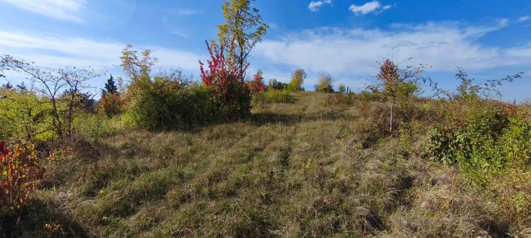 Predaj pozemku 5.326 m², Libochovice, Ústecký kraj Predaj pozemku 5.326 m², Libochovice, Ústecký kraj