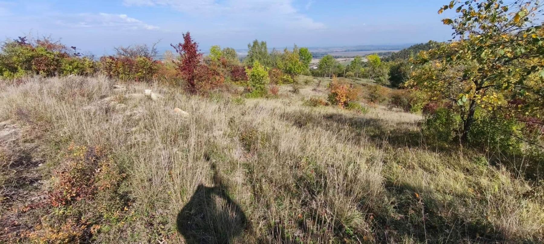Predaj pozemku 5.326 m², Libochovice, Ústecký kraj Predaj pozemku 5.326 m², Libochovice, Ústecký kraj