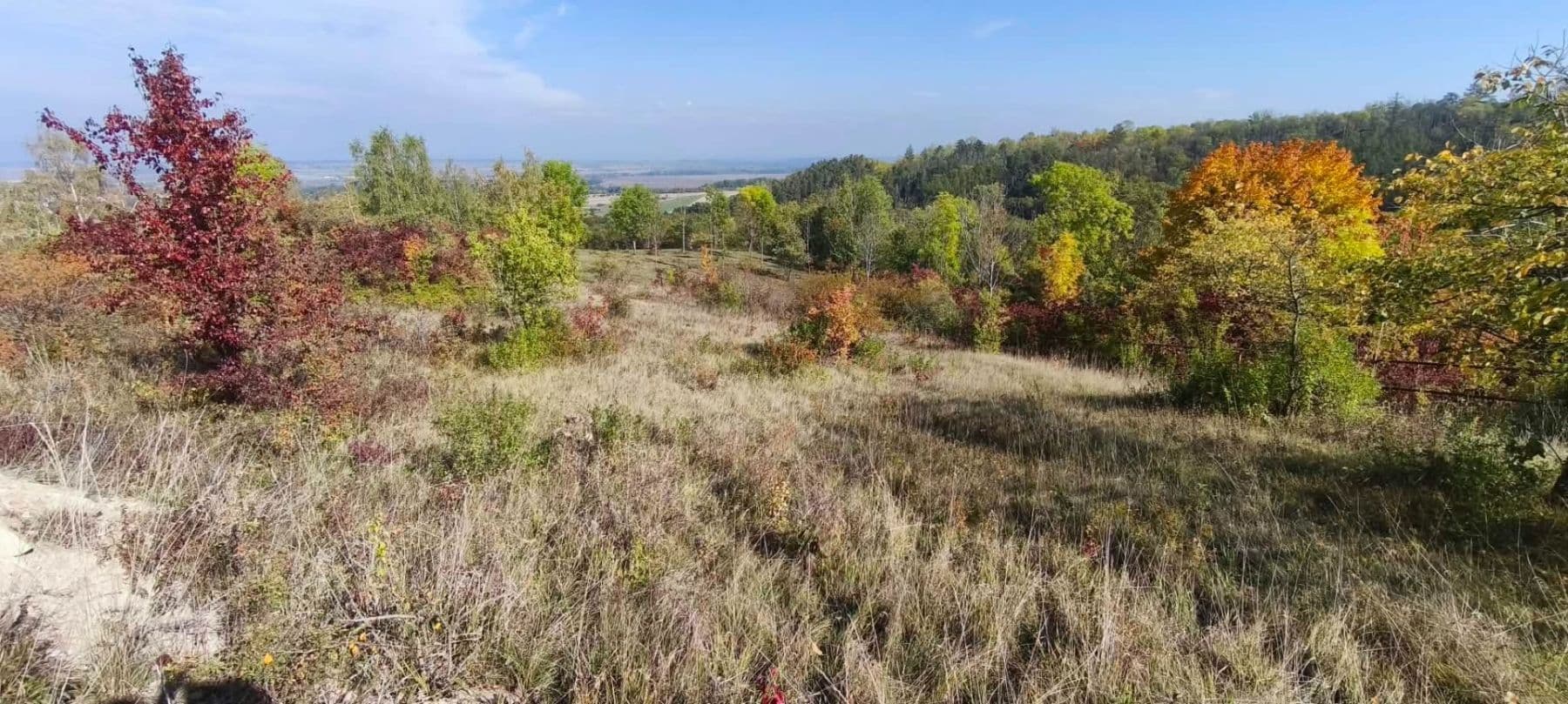 Predaj pozemku 5.326 m², Libochovice, Ústecký kraj Predaj pozemku 5.326 m², Libochovice, Ústecký kraj