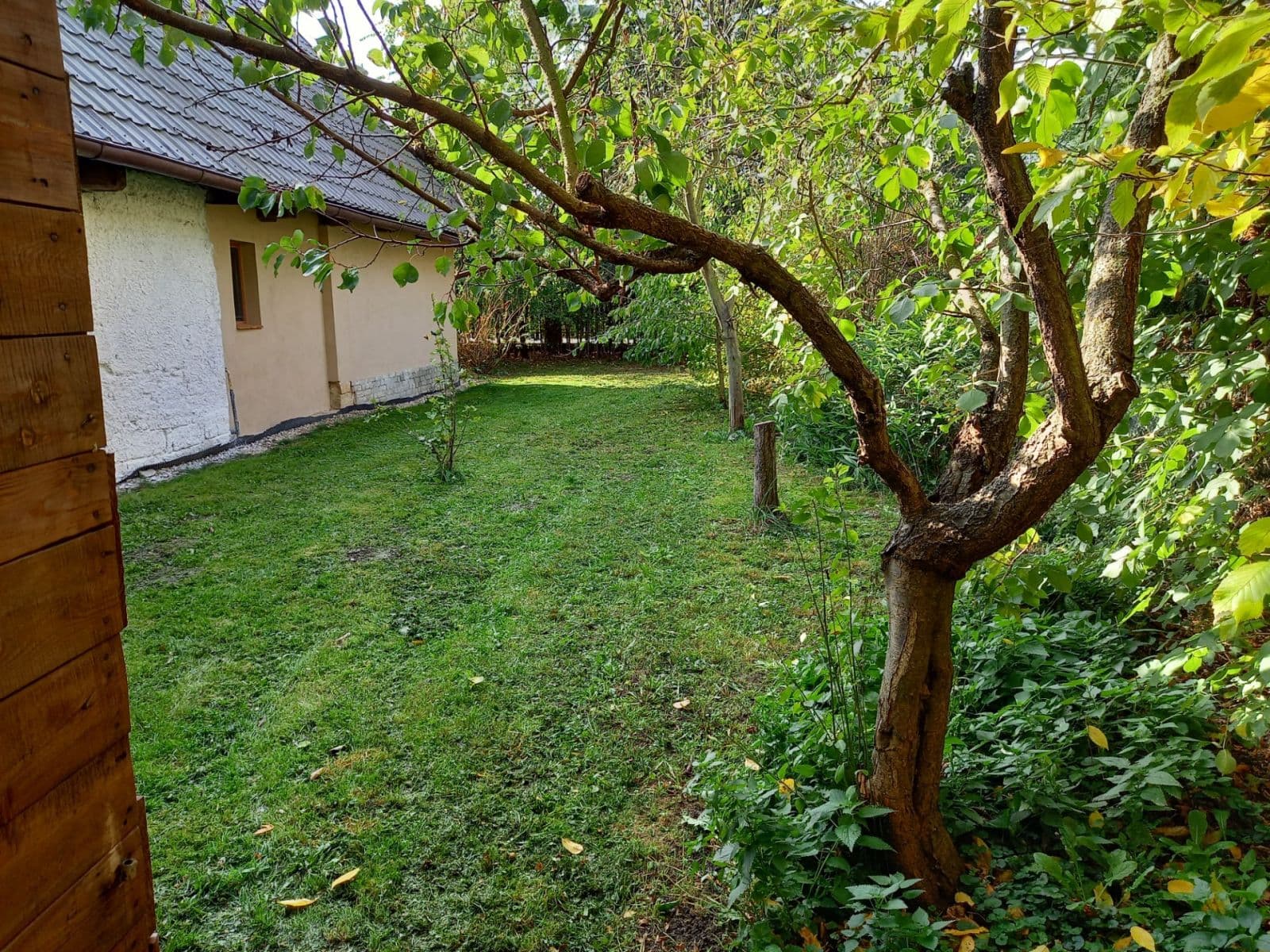 Predaj domu 114 m², pozemok 1.713 m², Nechanice, Královéhradecký kraj Predaj domu 114 m², pozemok 1.713 m², Nechanice, Královéhradecký kraj