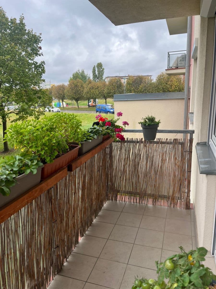 Prenájom bytu 2-izbový 37 m², Felklova, Roztoky, Středočeský kraj Prenájom bytu 2-izbový 37 m², Felklova, Roztoky, Středočeský kraj