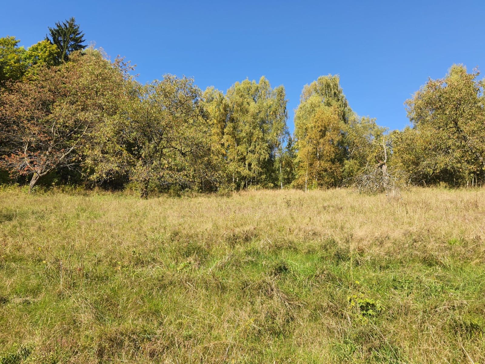 Predaj pozemku 3.362 m², Jablonec nad Jizerou, Liberecký kraj Predaj pozemku 3.362 m², Jablonec nad Jizerou, Liberecký kraj
