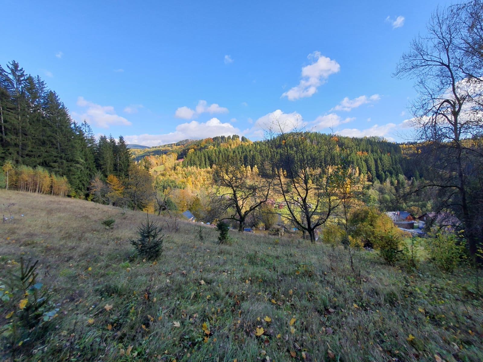 Predaj pozemku 3.362 m², Jablonec nad Jizerou, Liberecký kraj Predaj pozemku 3.362 m², Jablonec nad Jizerou, Liberecký kraj
