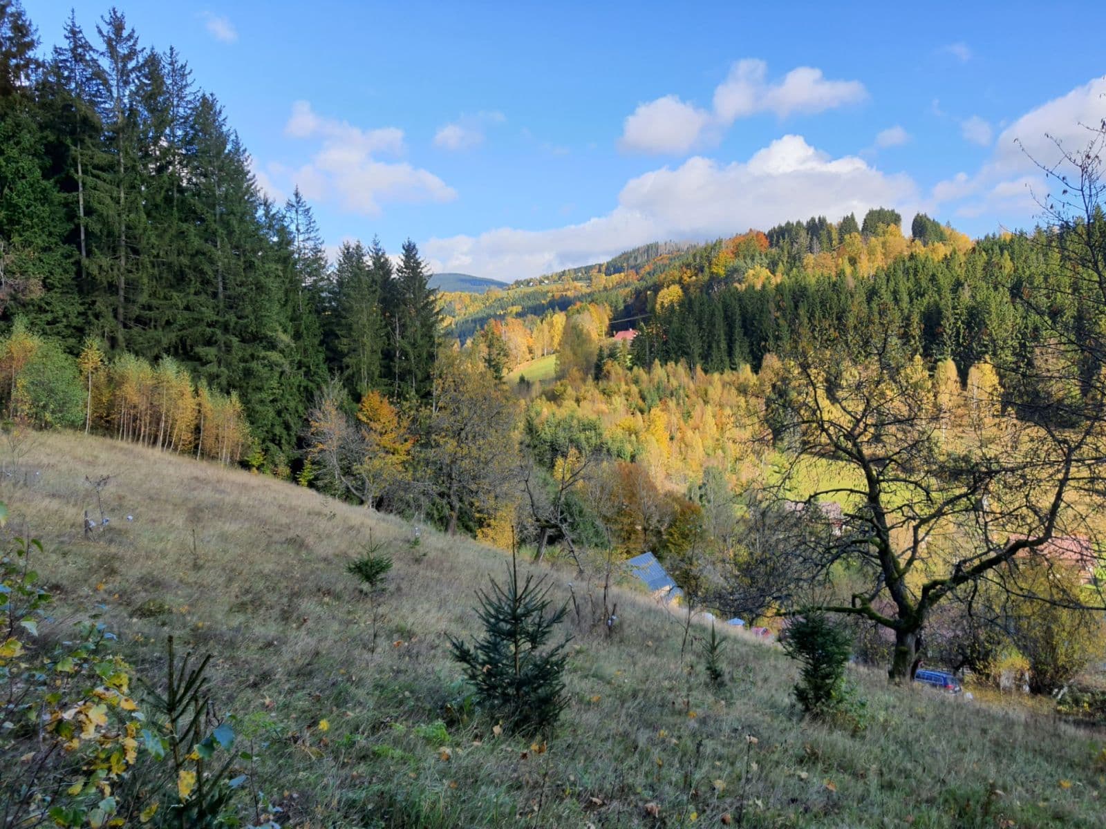 Predaj pozemku 3.362 m², Jablonec nad Jizerou, Liberecký kraj Predaj pozemku 3.362 m², Jablonec nad Jizerou, Liberecký kraj