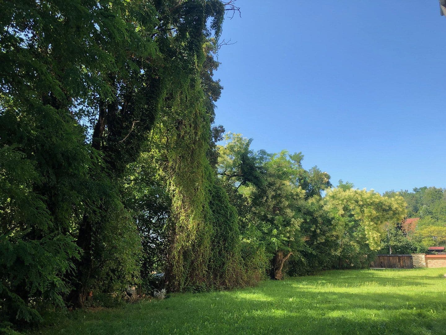 Prenájom bytu 2-izbový 55 m², Haag an der Amper, Bavorsko Prenájom bytu 2-izbový 55 m², Haag an der Amper, Bavorsko