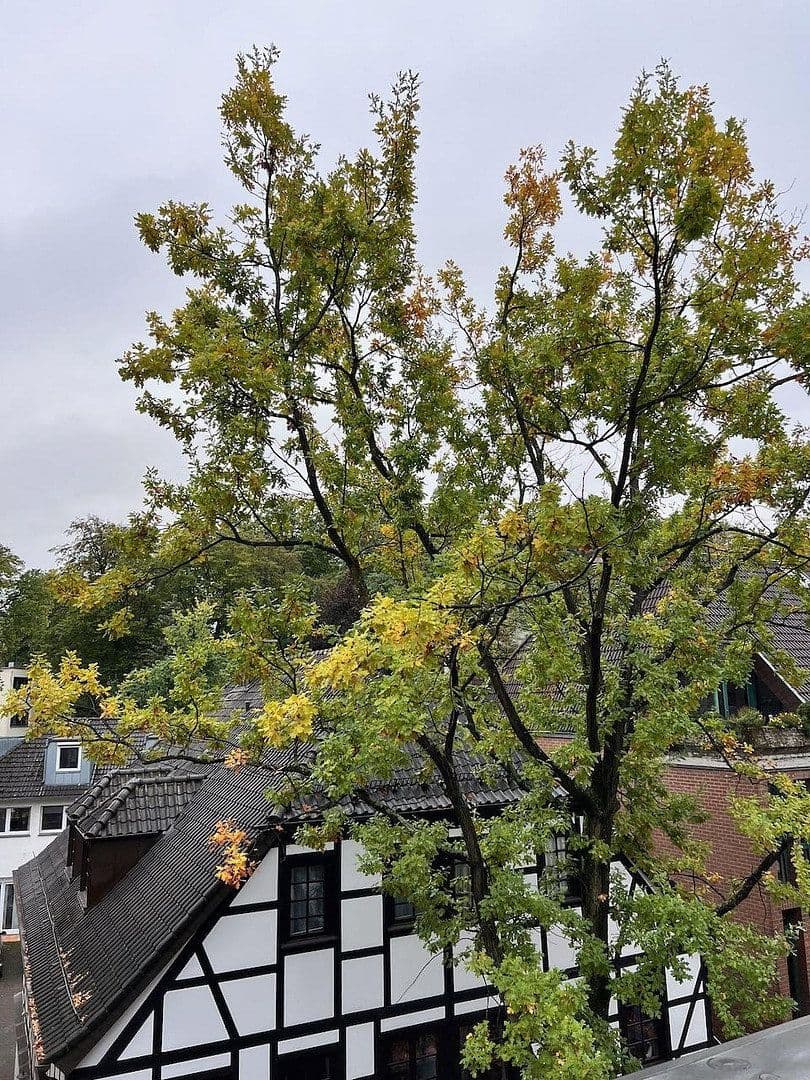 Predaj bytu 1-izbový 51 m², Holzgasse 46, Siegburg, Severné Porýnie - Westfálsko Predaj bytu 1-izbový 51 m², Holzgasse 46, Siegburg, Severné Porýnie - Westfálsko