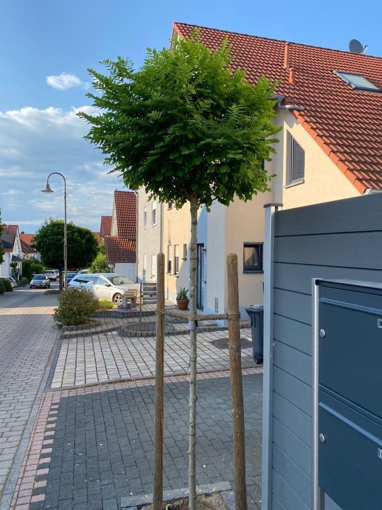 Prenájom bytu 3-izbový 69 m², Bindweidring 1, Karben, Hesensko Prenájom bytu 3-izbový 69 m², Bindweidring 1, Karben, Hesensko