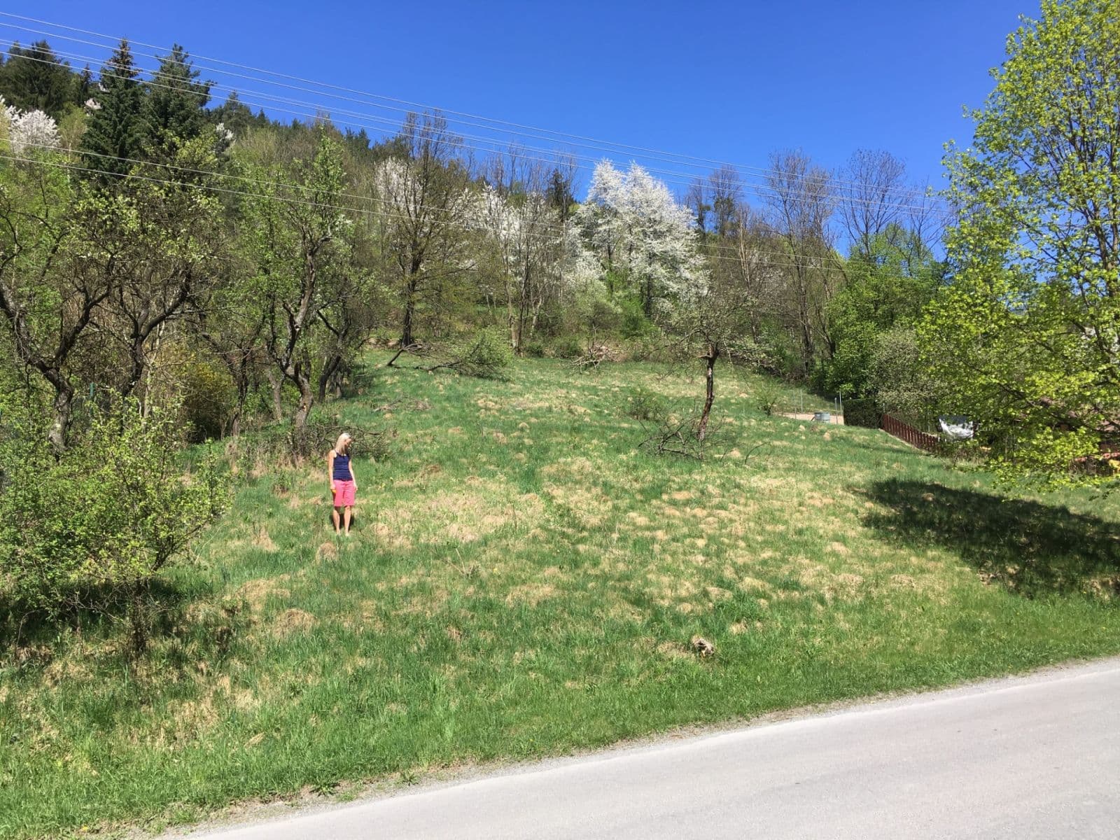Predaj pozemku 2.579 m², Rusava, Zlínský kraj Predaj pozemku 2.579 m², Rusava, Zlínský kraj