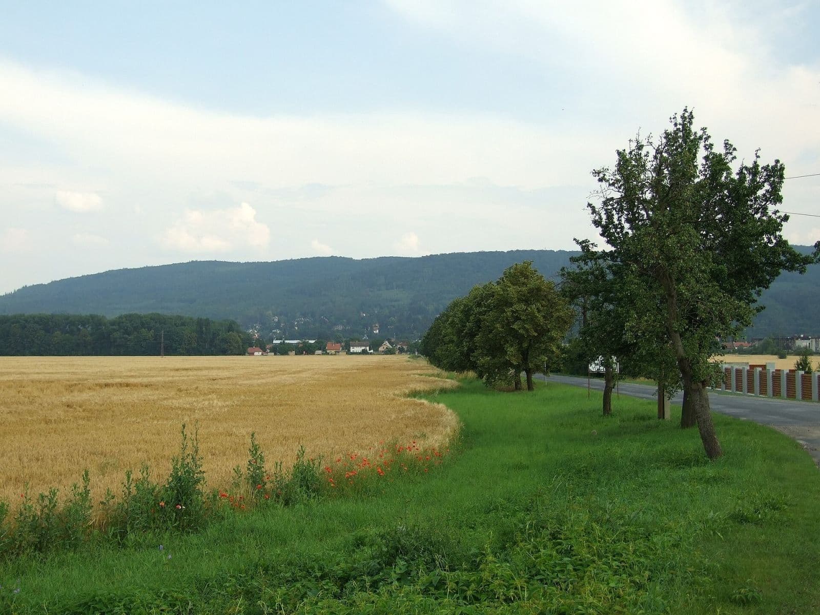 Prenájom pozemku 3.476 m², Dobřichovice, Středočeský kraj Prenájom pozemku 3.476 m², Dobřichovice, Středočeský kraj