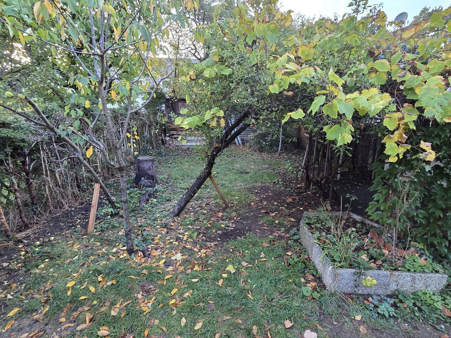 Prenájom domu 130 m², pozemok 374 m², Siegsdorfer Straße, München, Bavorsko Prenájom domu 130 m², pozemok 374 m², Siegsdorfer Straße, München, Bavorsko