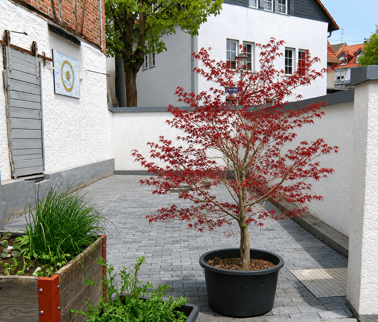 Predaj domu 150 m², pozemok 616 m², Wilhelmstraße 2, Idstein, Hesensko Predaj domu 150 m², pozemok 616 m², Wilhelmstraße 2, Idstein, Hesensko