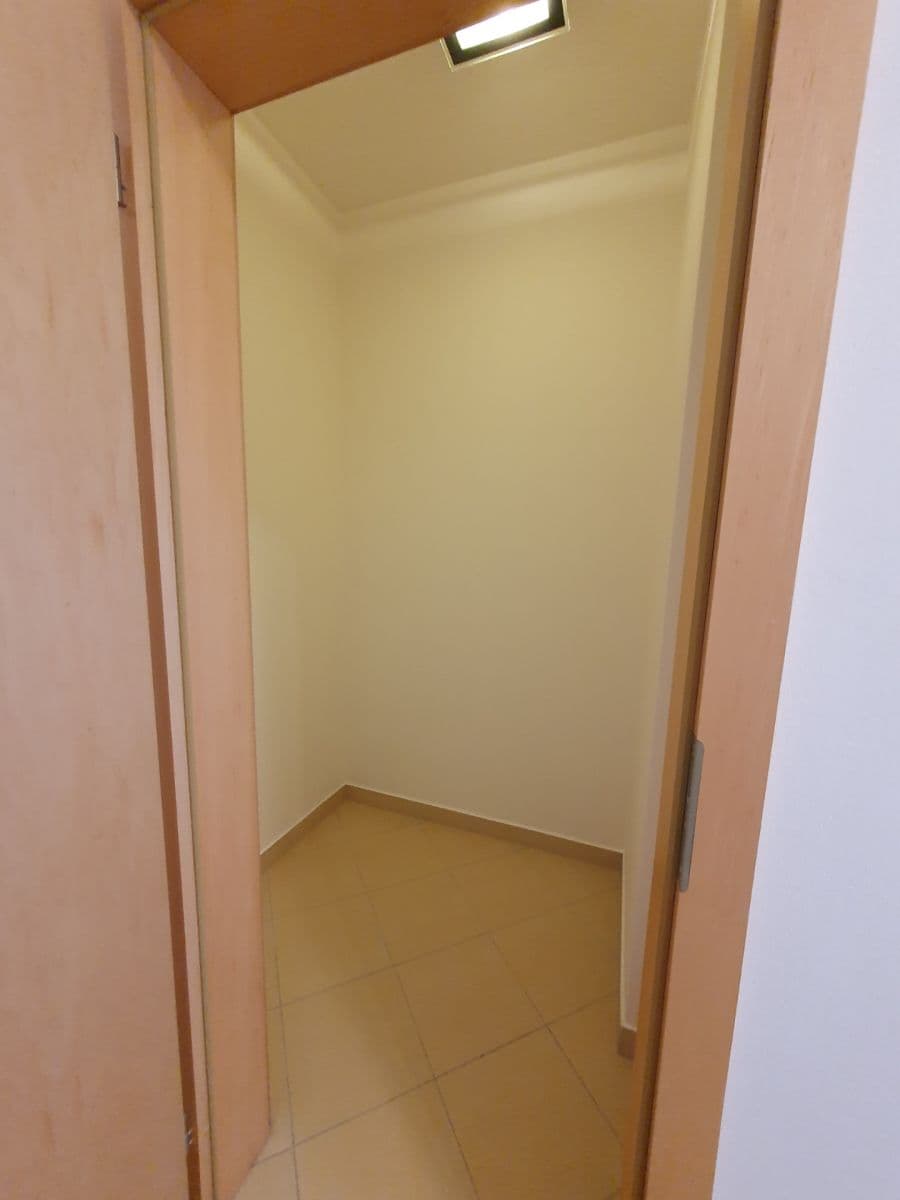 Prenájom bytu 1-izbový 41 m², Nad Akcízem, Praha, Praha Prenájom bytu 1-izbový 41 m², Nad Akcízem, Praha, Praha