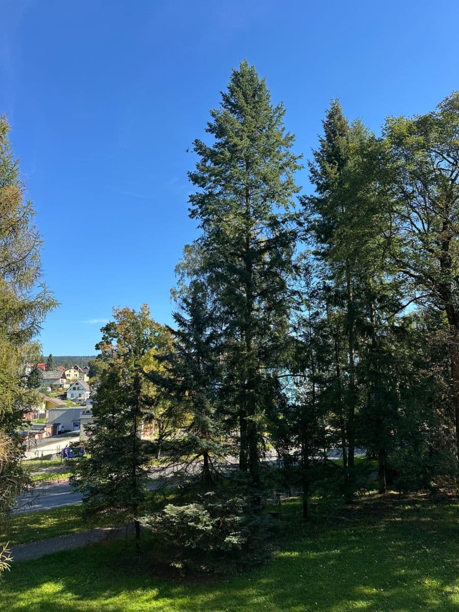 Predaj bytu 4-izbový 72 m², Mechová, Jablonec nad Nisou, Liberecký kraj Predaj bytu 4-izbový 72 m², Mechová, Jablonec nad Nisou, Liberecký kraj