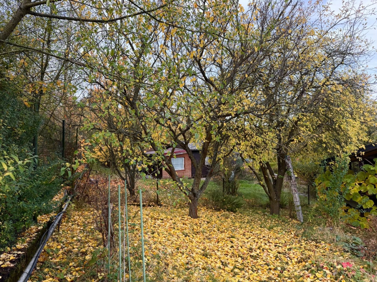 Predaj rekreačného objektu 25 m², pozemok 450 m², Bažantní, Praha, Praha Predaj rekreačného objektu 25 m², pozemok 450 m², Bažantní, Praha, Praha