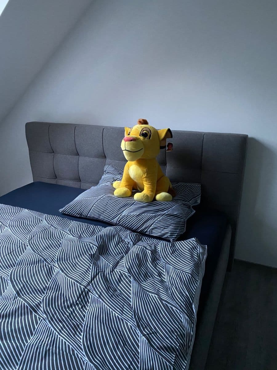 Prenájom domu 180 m², pozemok 70 m², Nepovolená, Praha, Praha Prenájom domu 180 m², pozemok 70 m², Nepovolená, Praha, Praha