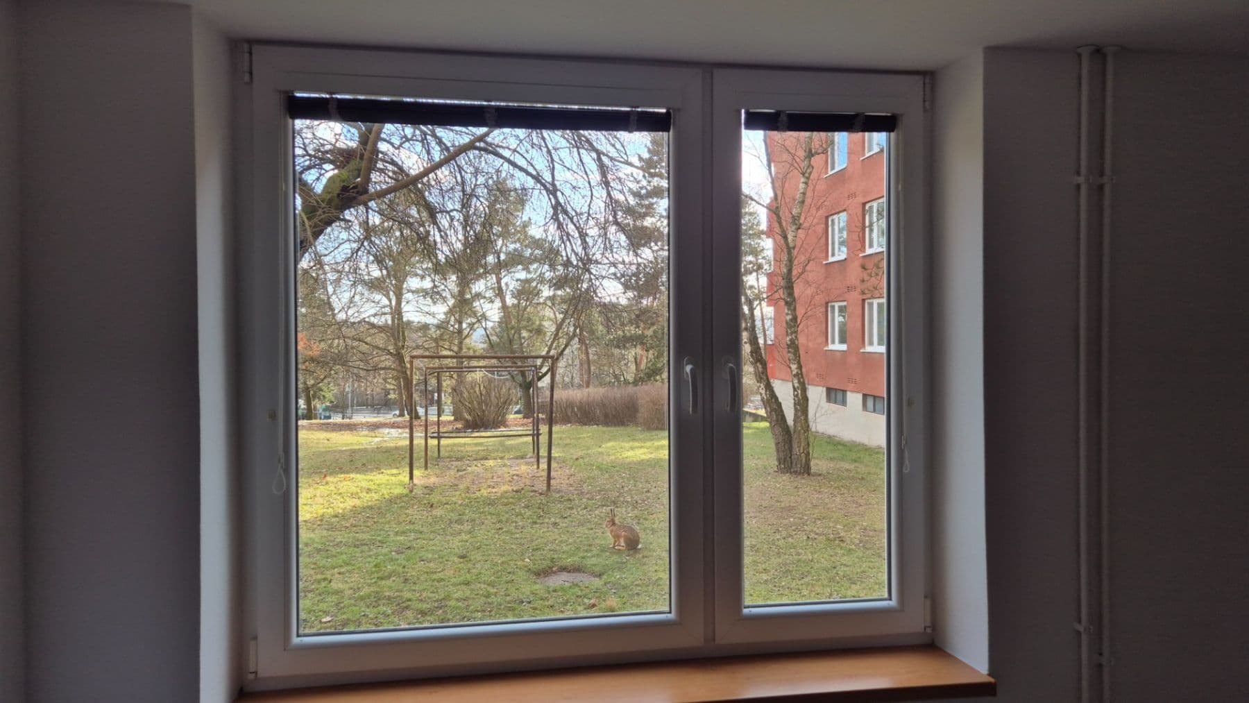 Prenájom bytu 1-izbový 30 m², Brožíkova, Brno, Jihomoravský kraj Prenájom bytu 1-izbový 30 m², Brožíkova, Brno, Jihomoravský kraj