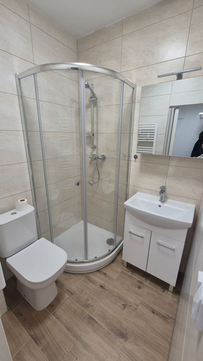 Prenájom bytu 1-izbový 30 m², Brožíkova, Brno, Jihomoravský kraj Prenájom bytu 1-izbový 30 m², Brožíkova, Brno, Jihomoravský kraj