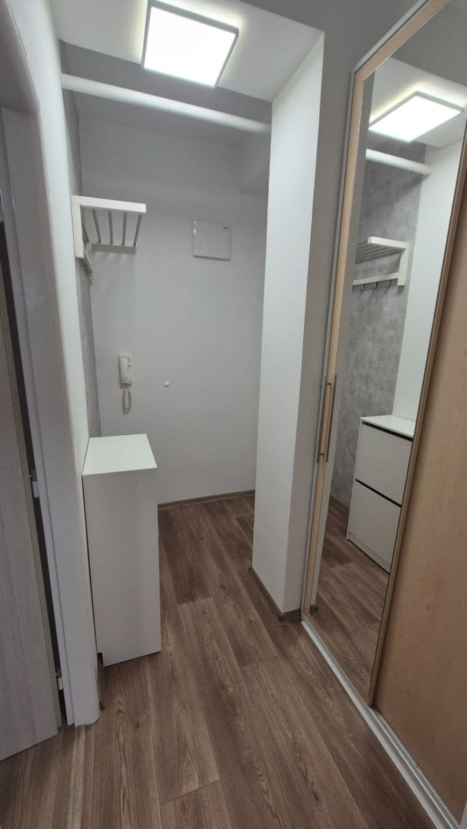 Prenájom bytu 1-izbový 30 m², Brožíkova, Brno, Jihomoravský kraj Prenájom bytu 1-izbový 30 m², Brožíkova, Brno, Jihomoravský kraj